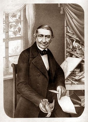 Johann Friedrich Naumann (1780-1857) war ein deutscher Ornithologe und Mitbegründer der »Deutschen Ornithologischen Gesellschaft« in Leipzig 1850. Ein Großteil seiner über 1.200 Präparate findet sich im Naumann-Museum Köthen wieder.