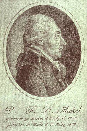Philipp Friedrich Theodor Meckel (1756-1803) war ein deutscher Anatom und Chirurg. Er gehörte zu den führenden Kapazitäten siener Epoche und wurde auch zu zwei Geburten an den Hof von St. Petersburg berufen.